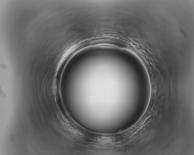 X0000091090102200708061646