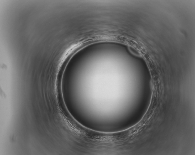 X0000091090104200708061646