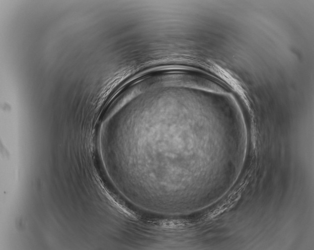 X0000091090105200708061646