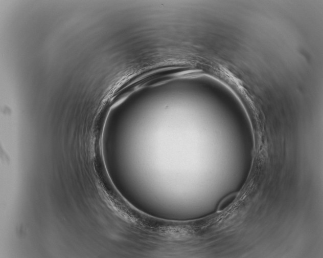 X0000091090106200708061646