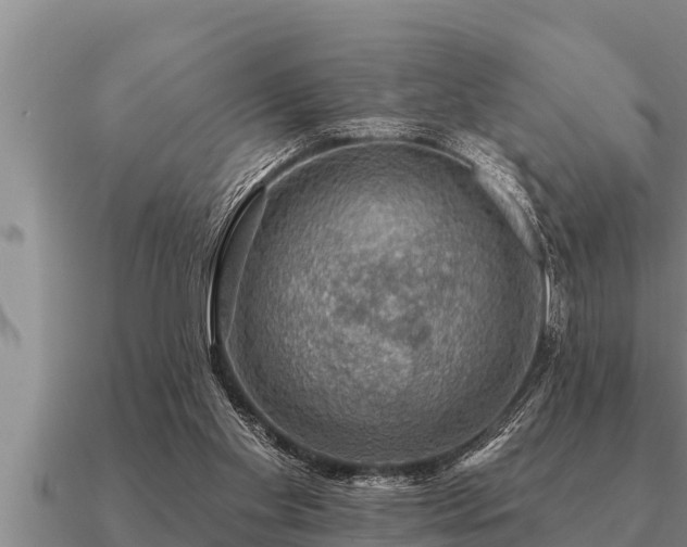 X0000091090109200708061646