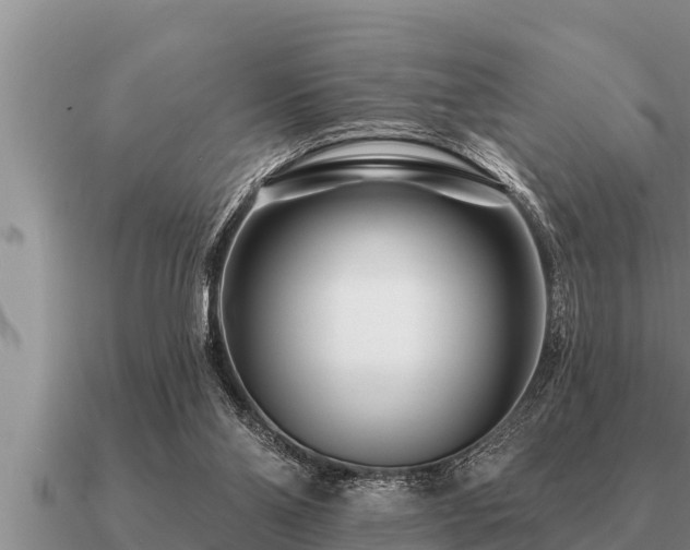 X0000091090110200708061645