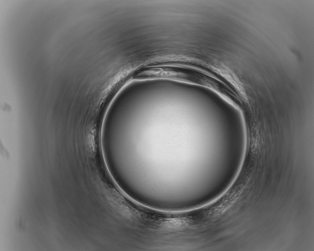 X0000091090111200708061645