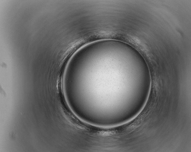 X0000091090115200708061645