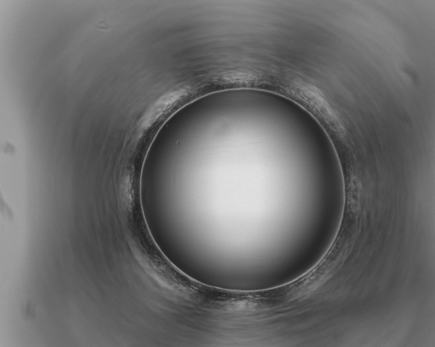 X0000091090116200708061645