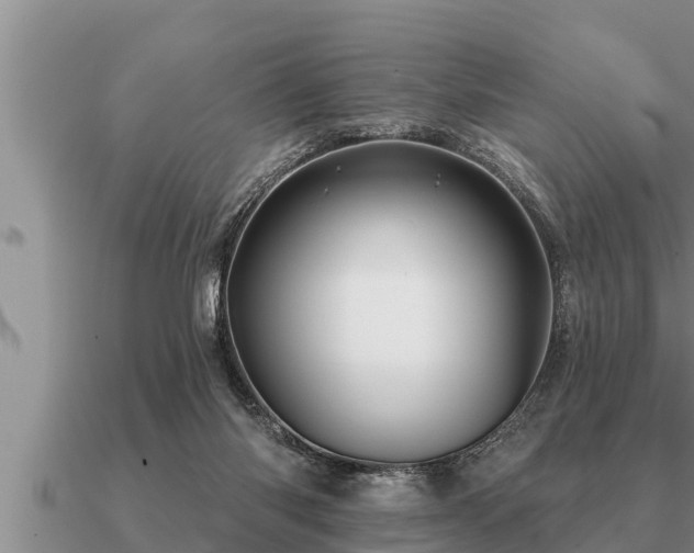 X0000091090118200708061645