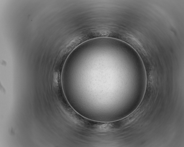 X0000091090122200708061645