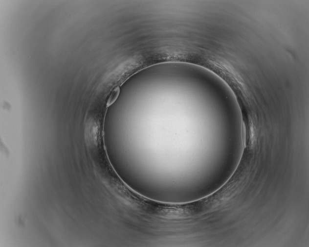 X0000091090123200708061645