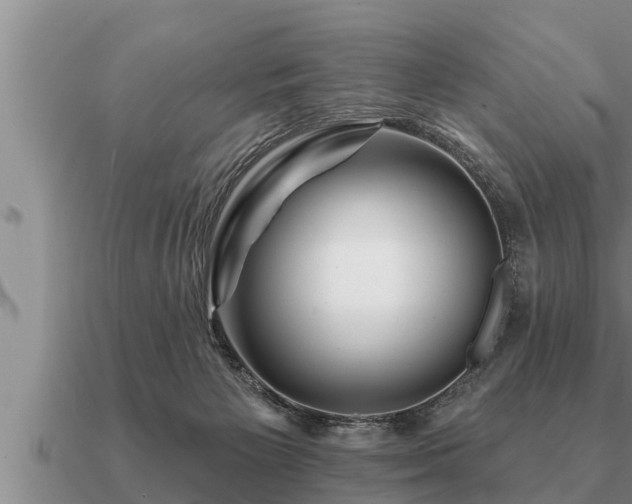 X0000091090125200708061645