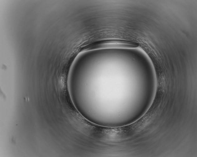 X0000091090131200708061645