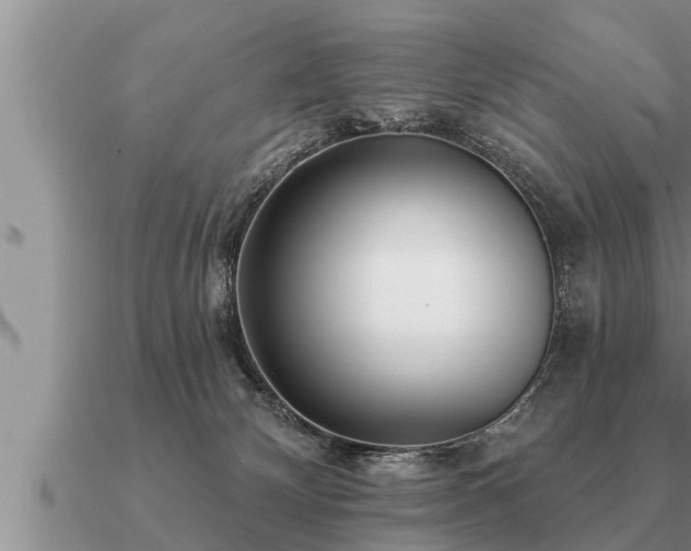 X0000091090132200708061645