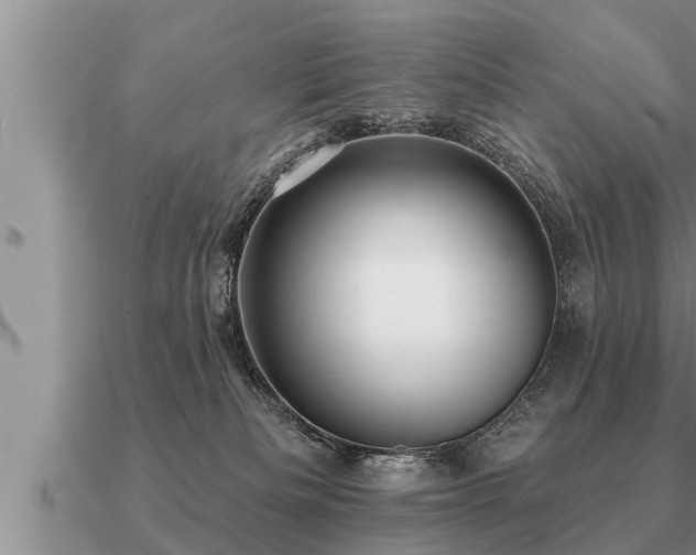 X0000091090133200708061645