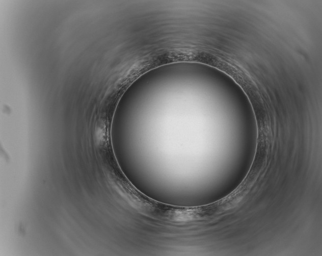 X0000091090134200708061645