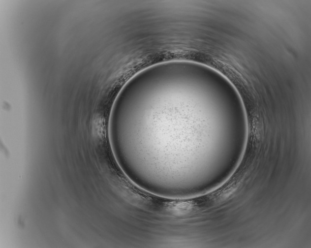 X0000091090135200708061645