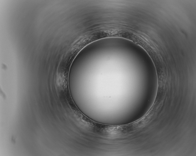 X0000091090136200708061645