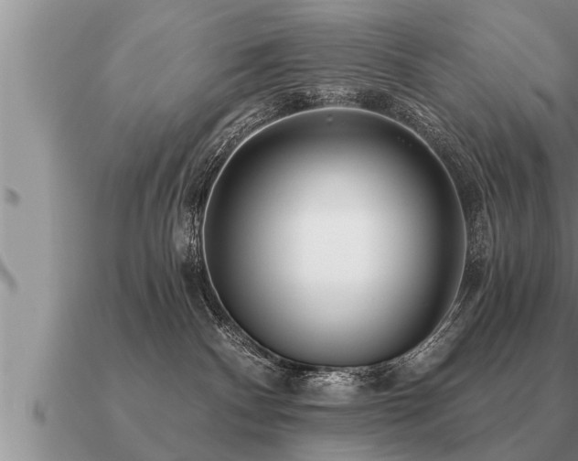 X0000091090140200708061645