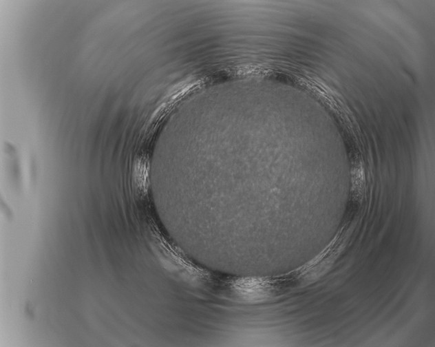 X0000091090142200708061645