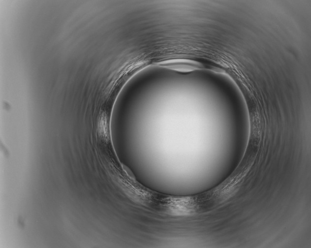 X0000091090143200708061645