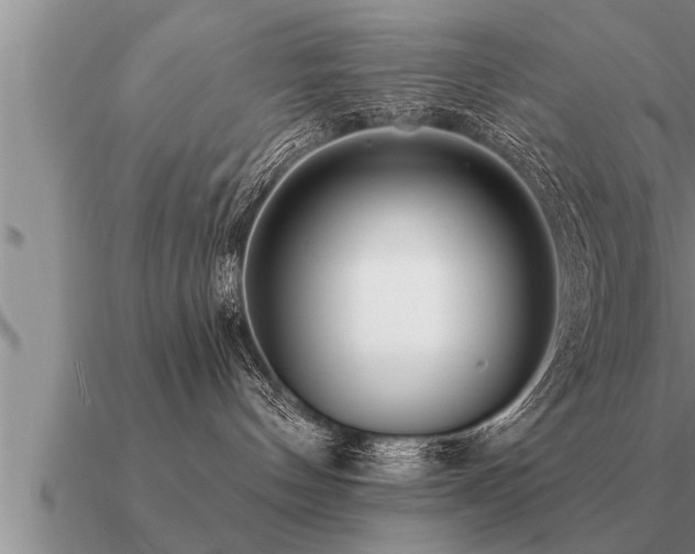 X0000091090144200708061645