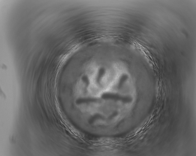 X0000091090145200708061644