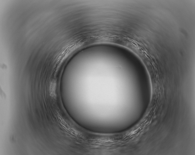 X0000091090146200708061644