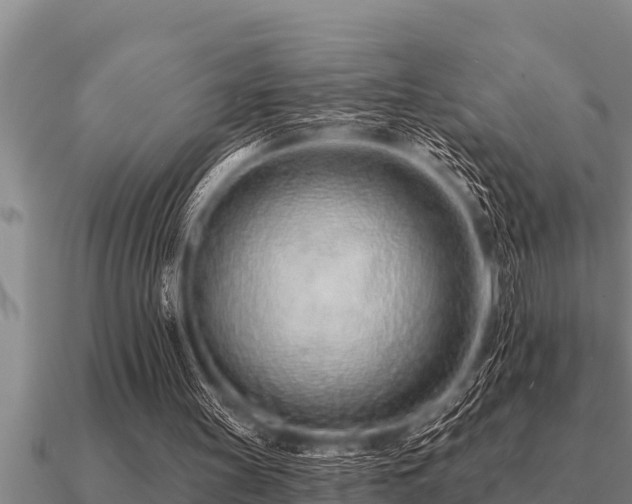 X0000091090147200708061644