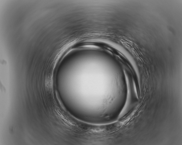 X0000091090148200708061644