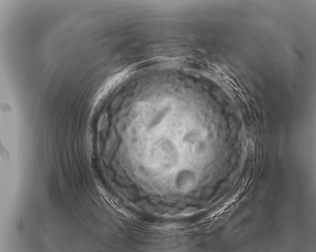 X0000091090149200708061644