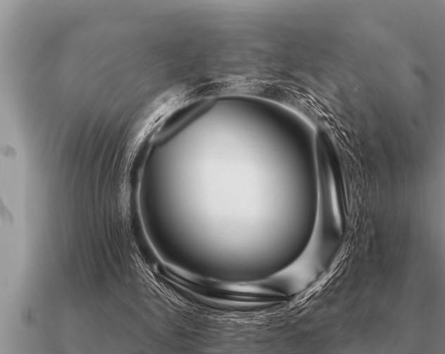 X0000091090150200708061644