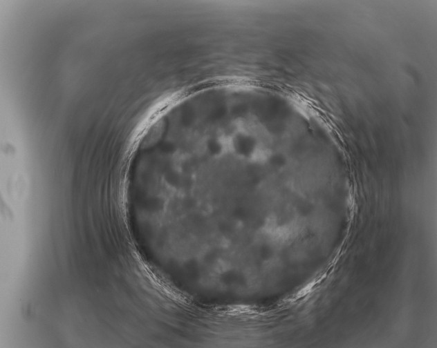 X0000091090151200708061645