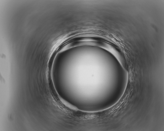 X0000091090152200708061645