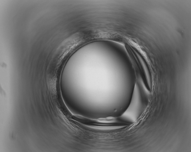 X0000091090154200708061645