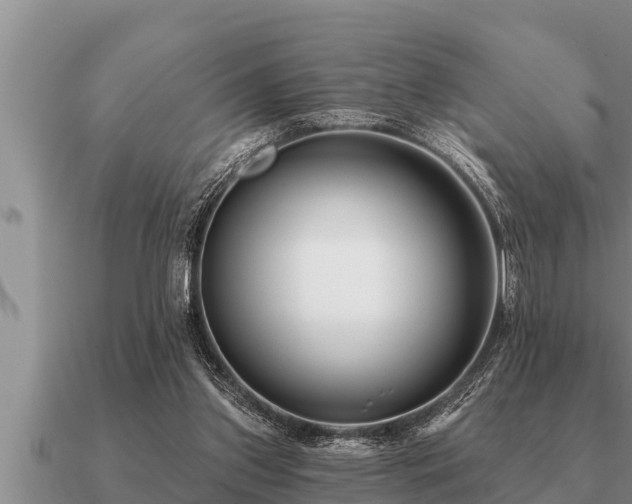 X0000091090157200708061645