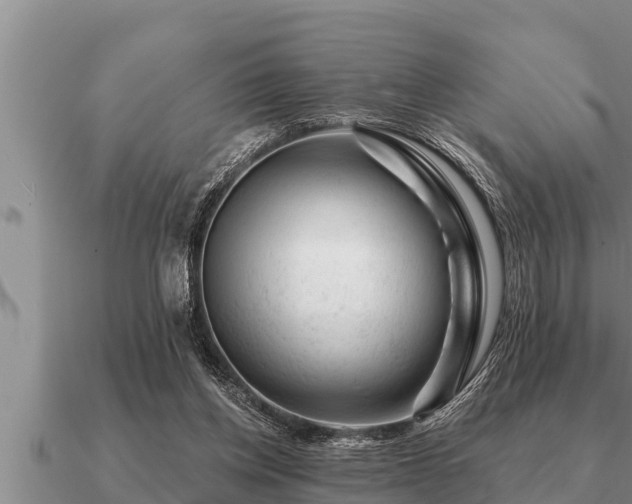X0000091090158200708061645