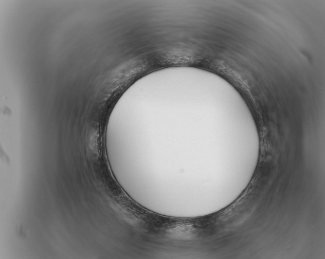 X0000091090162200708061645