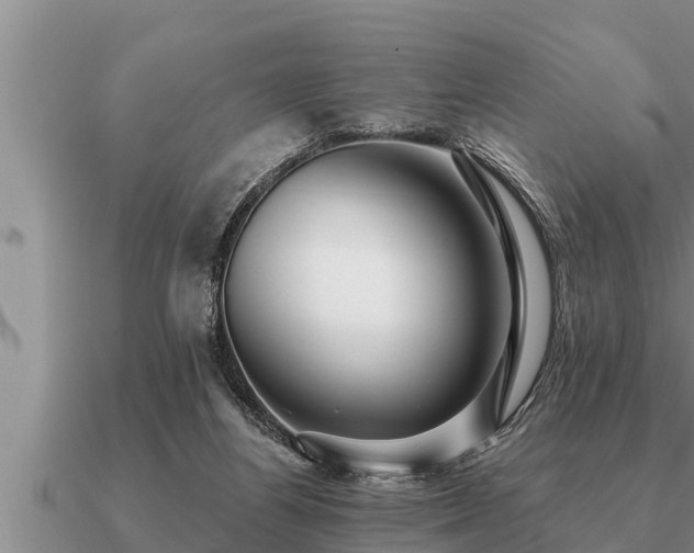 X0000091090164200708061645
