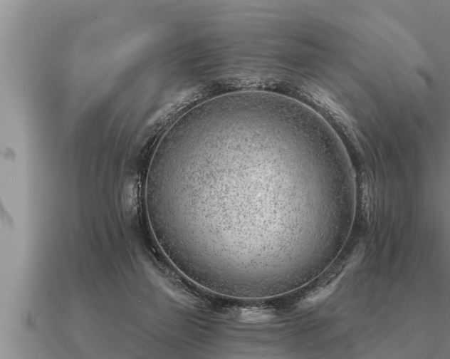 X0000091090165200708061645