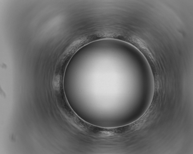 X0000091090167200708061645