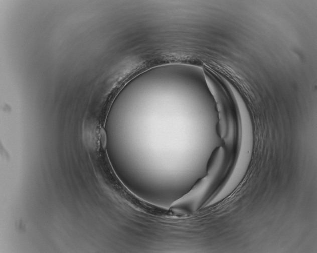 X0000091090168200708061645