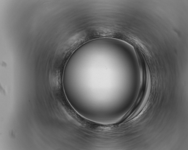 X0000091090170200708061645
