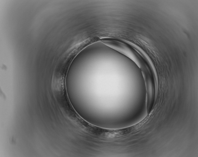 X0000091090172200708061645