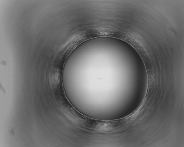 X0000091090174200708061645