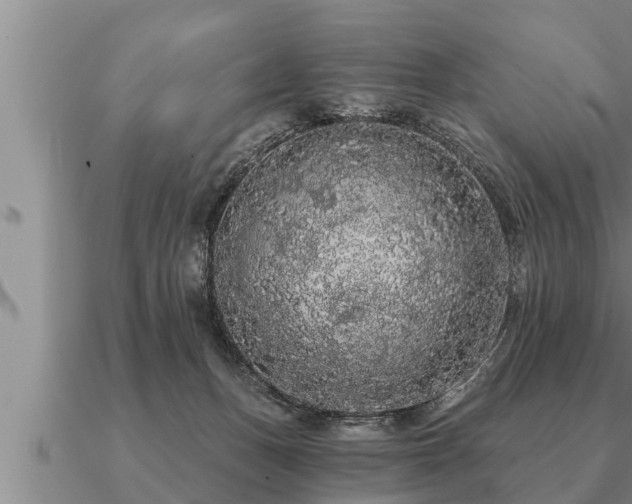 X0000091090175200708061645