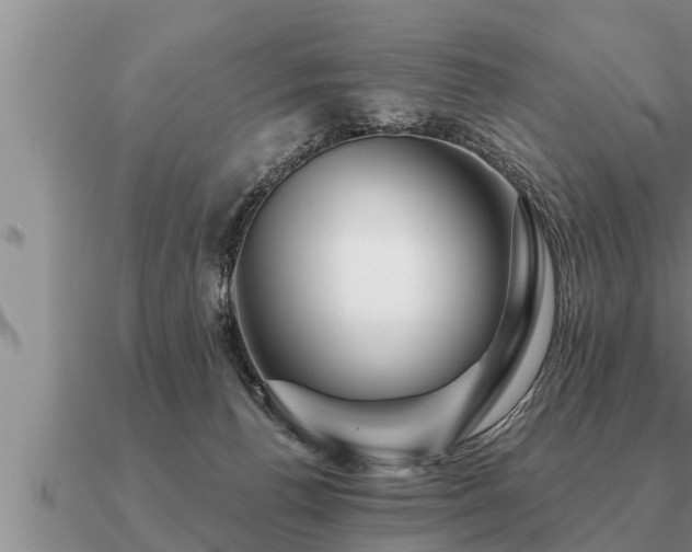 X0000091090176200708061645