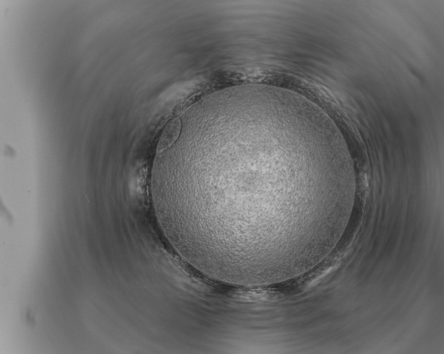 X0000091090181200708061645