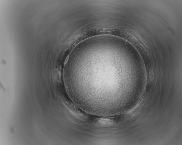 X0000091090183200708061645
