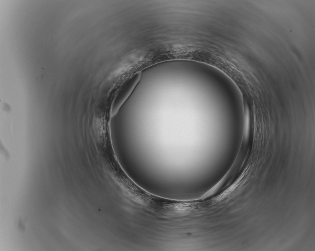 X0000091090184200708061645