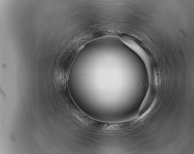 X0000091090186200708061645