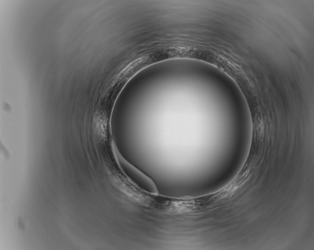 X0000091090188200708061645
