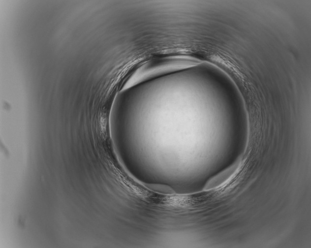 X0000091090192200708061645